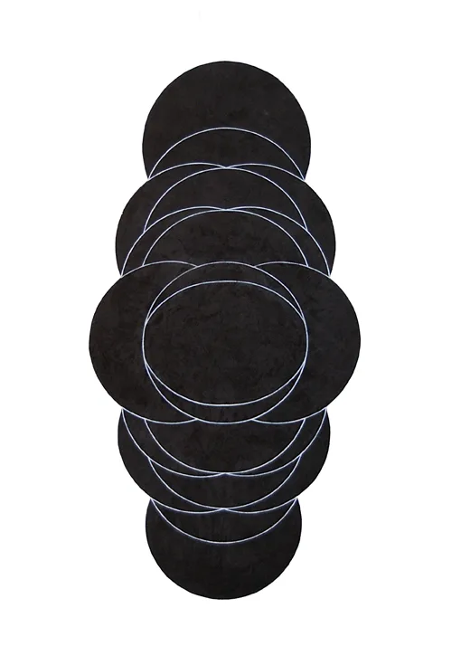 Gran Danaide negra. 100 x 50 cm. 2011