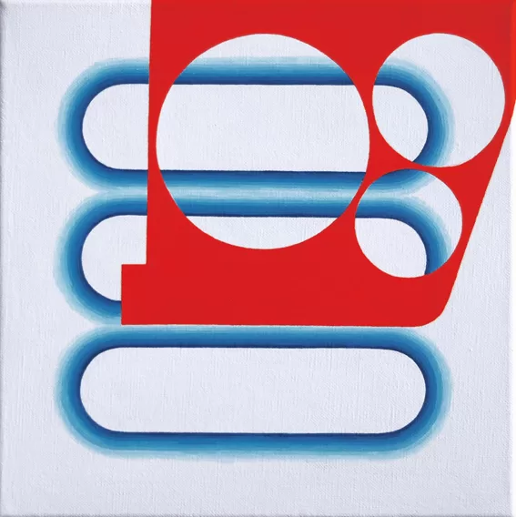 Burla. 30 x 30 cm. 2011