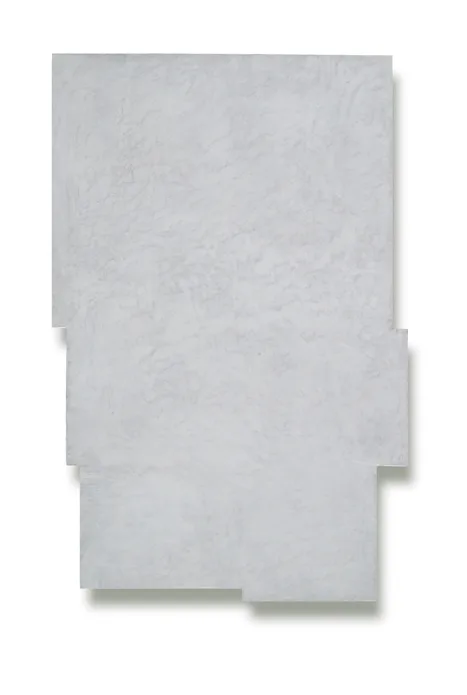 Monochrome II. 80 x 52 cm. 2009