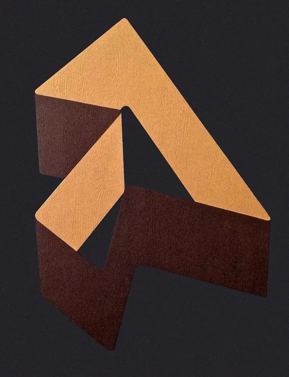 Collage. 40 x 30 cm. 2009